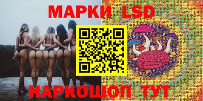 стафф Апшеронск