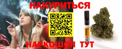 дмт Аргун